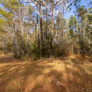 Photo #14 of SOLD property in Off Highway 211, Ash, NC 5.5 acres