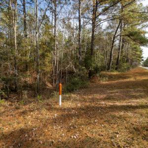 Photo #15 of SOLD property in Off Highway 211, Ash, NC 5.5 acres