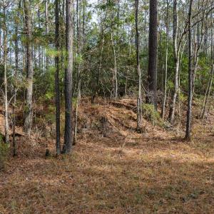 Photo #16 of SOLD property in Off Highway 211, Ash, NC 5.5 acres