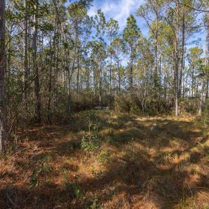 Photo #18 of SOLD property in Off Highway 211, Ash, NC 5.5 acres