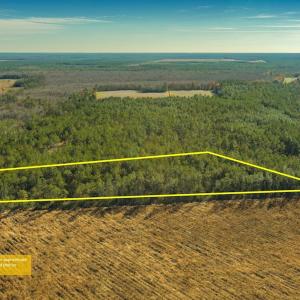 Photo #2 of SOLD property in Off Highway 211, Ash, NC 5.5 acres