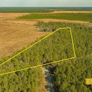 Photo #3 of SOLD property in Off Highway 211, Ash, NC 5.5 acres