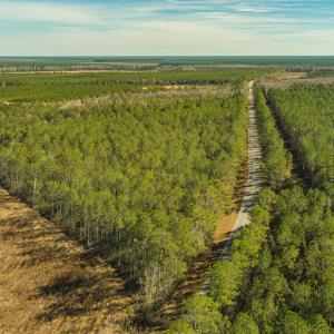 Photo #5 of SOLD property in Off Highway 211, Ash, NC 5.5 acres