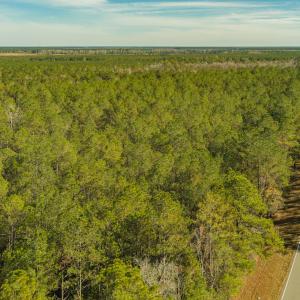 Photo #6 of SOLD property in Off Highway 211, Ash, NC 5.5 acres