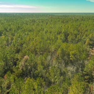 Photo #7 of SOLD property in Off Highway 211, Ash, NC 5.5 acres