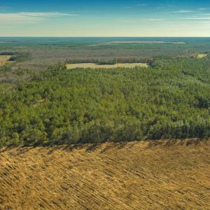 Photo #8 of SOLD property in Off Highway 211, Ash, NC 5.5 acres