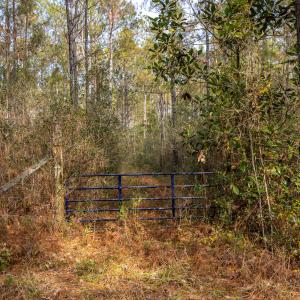 Photo #20 of SOLD property in Off Highway 211, Ash, NC 5.5 acres