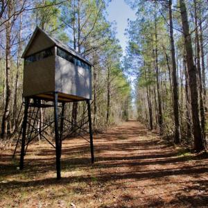 Photo #2 of SOLD property in Off Knobbs Creek Road, Elizabeth City, NC 611.0 acres