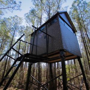 Photo #3 of SOLD property in Off Knobbs Creek Road, Elizabeth City, NC 611.0 acres