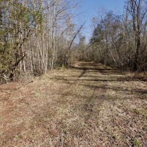 Photo #5 of SOLD property in Off Knobbs Creek Road, Elizabeth City, NC 611.0 acres