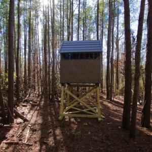 Photo #8 of SOLD property in Off Knobbs Creek Road, Elizabeth City, NC 611.0 acres