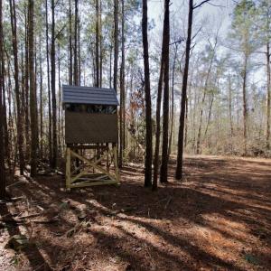 Photo #14 of SOLD property in Off Knobbs Creek Road, Elizabeth City, NC 611.0 acres