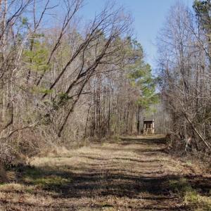 Photo #17 of SOLD property in Off Knobbs Creek Road, Elizabeth City, NC 611.0 acres