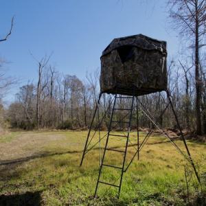 Photo #21 of SOLD property in Off Knobbs Creek Road, Elizabeth City, NC 611.0 acres