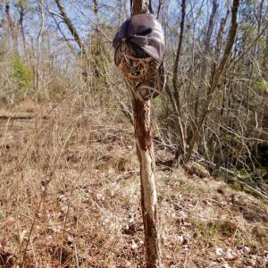 Photo #23 of SOLD property in Off Knobbs Creek Road, Elizabeth City, NC 611.0 acres