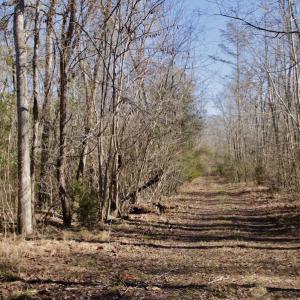 Photo #26 of SOLD property in Off Knobbs Creek Road, Elizabeth City, NC 611.0 acres