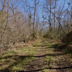 Photo #27 of SOLD property in Off Knobbs Creek Road, Elizabeth City, NC 611.0 acres