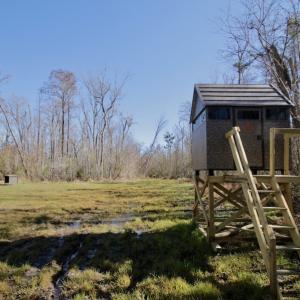 Photo #28 of SOLD property in Off Knobbs Creek Road, Elizabeth City, NC 611.0 acres