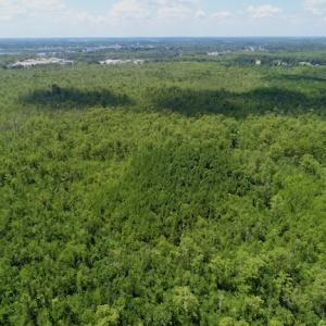 Photo #30 of SOLD property in Off Knobbs Creek Road, Elizabeth City, NC 611.0 acres