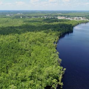 Photo #31 of SOLD property in Off Knobbs Creek Road, Elizabeth City, NC 611.0 acres
