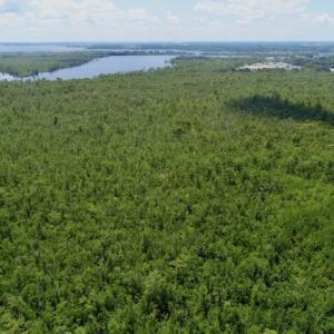 Photo #32 of SOLD property in Off Knobbs Creek Road, Elizabeth City, NC 611.0 acres