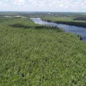 Photo #34 of SOLD property in Off Knobbs Creek Road, Elizabeth City, NC 611.0 acres