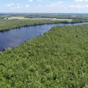 Photo #35 of SOLD property in Off Knobbs Creek Road, Elizabeth City, NC 611.0 acres