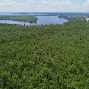 Photo #36 of SOLD property in Off Knobbs Creek Road, Elizabeth City, NC 611.0 acres