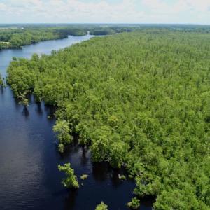 Photo #37 of SOLD property in Off Knobbs Creek Road, Elizabeth City, NC 611.0 acres