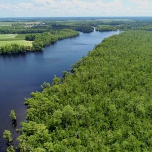 Photo #38 of SOLD property in Off Knobbs Creek Road, Elizabeth City, NC 611.0 acres