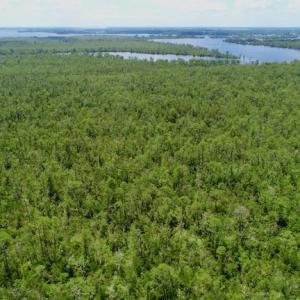 Photo #40 of SOLD property in Off Knobbs Creek Road, Elizabeth City, NC 611.0 acres
