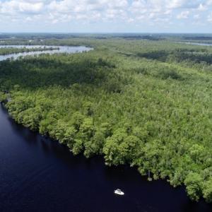Photo #41 of SOLD property in Off Knobbs Creek Road, Elizabeth City, NC 611.0 acres