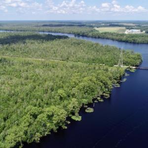 Photo #42 of SOLD property in Off Knobbs Creek Road, Elizabeth City, NC 611.0 acres