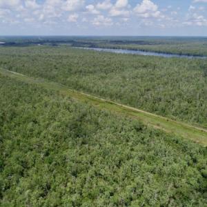Photo #43 of SOLD property in Off Knobbs Creek Road, Elizabeth City, NC 611.0 acres