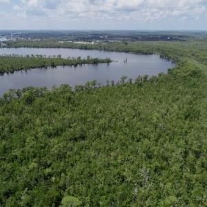 Photo #44 of SOLD property in Off Knobbs Creek Road, Elizabeth City, NC 611.0 acres
