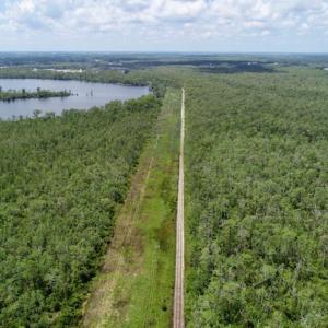 Photo #45 of SOLD property in Off Knobbs Creek Road, Elizabeth City, NC 611.0 acres