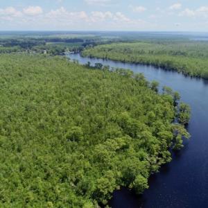 Photo #47 of SOLD property in Off Knobbs Creek Road, Elizabeth City, NC 611.0 acres
