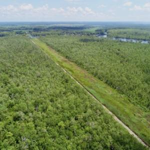 Photo #48 of SOLD property in Off Knobbs Creek Road, Elizabeth City, NC 611.0 acres