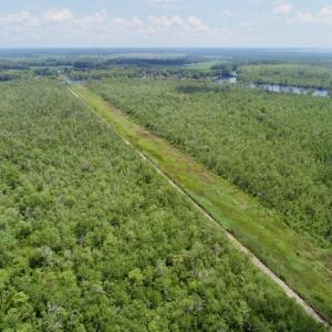 Photo #48 of SOLD property in Off Knobbs Creek Road, Elizabeth City, NC 611.0 acres