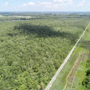 Photo #49 of SOLD property in Off Knobbs Creek Road, Elizabeth City, NC 611.0 acres