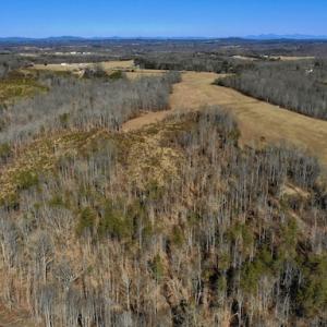 Photo #10 of SOLD property in Off Colonial Turnpike, Rocky Mount, VA 96.1 acres