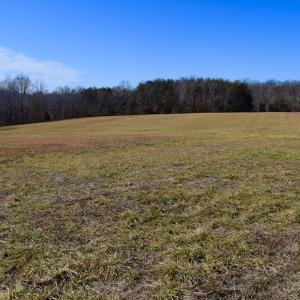 Photo #19 of SOLD property in Off Colonial Turnpike, Rocky Mount, VA 96.1 acres