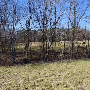 Photo #22 of SOLD property in Off Colonial Turnpike, Rocky Mount, VA 96.1 acres