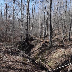 Photo #23 of SOLD property in Off Colonial Turnpike, Rocky Mount, VA 96.1 acres