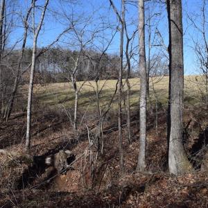 Photo #24 of SOLD property in Off Colonial Turnpike, Rocky Mount, VA 96.1 acres