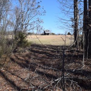Photo #25 of SOLD property in Off Colonial Turnpike, Rocky Mount, VA 96.1 acres
