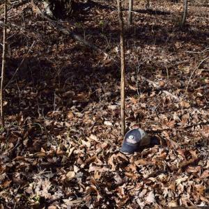 Photo #30 of SOLD property in Off Colonial Turnpike, Rocky Mount, VA 96.1 acres