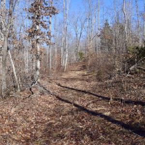 Photo #31 of SOLD property in Off Colonial Turnpike, Rocky Mount, VA 96.1 acres