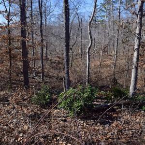 Photo #32 of SOLD property in Off Colonial Turnpike, Rocky Mount, VA 96.1 acres
