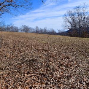 Photo #33 of SOLD property in Off Colonial Turnpike, Rocky Mount, VA 96.1 acres